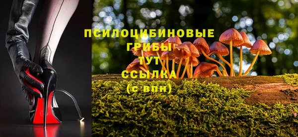 крисы Алексин