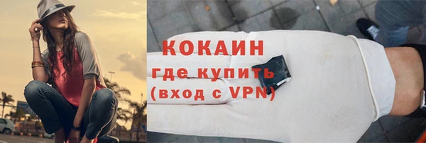 крисы Алексин