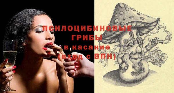 твердый Алексеевка